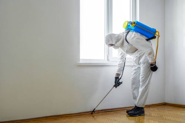 Best Pest Prevention Services  in Salado, TX
