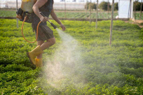 Best Commercial Pest Control Services  in Salado, TX