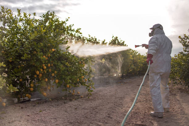 Best Residential Pest Control  in Salado, TX