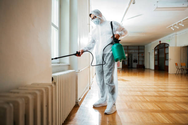 Best Pest Removal Services  in Salado, TX