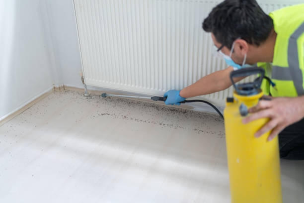 Best Pest Control Near Me in Salado, TX